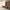 L1911266_resize.webp